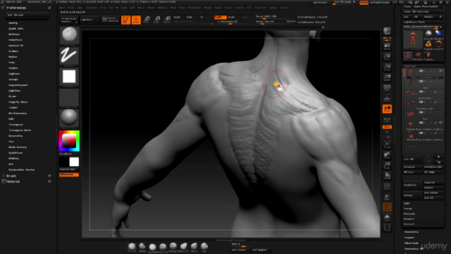 Master 3D, de Cero a Héroe Vol.4: Anatomía del cuerpo – Screenshot 4