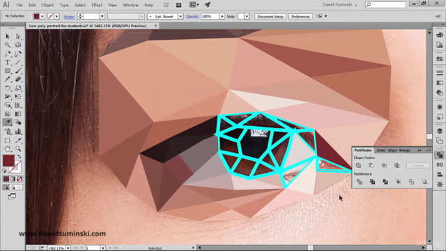 How To Create A Low Poly Portrait With The Pen Tool – Screenshot 3