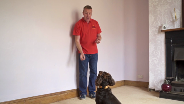 Dog Training for Humans - Clicker Free Trick Training – Screenshot 2