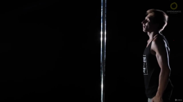 Pole Dance With World Champions - Beginner & Intermediate – Screenshot 4