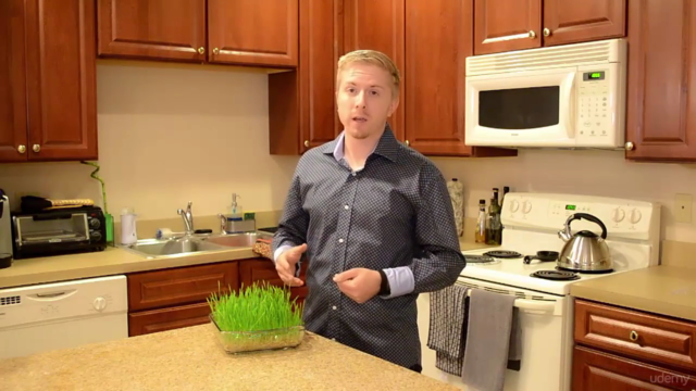 Wheatgrass: How to Grow and Juice A Superfood in 7 Days - Screenshot_02