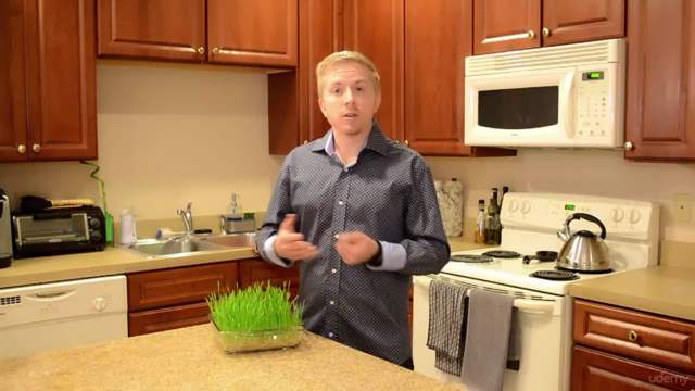 Wheatgrass: How to Grow and Juice A Superfood in 7 Days - Screenshot_04