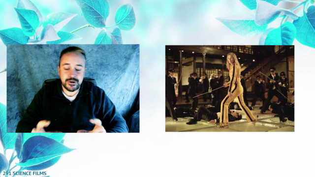 Uso del color en fotografía, cine y documentales. – Screenshot 1
