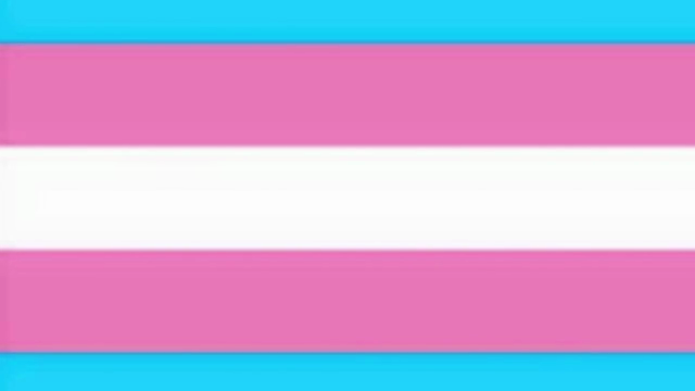 A Beginner's Guide to Trans 101 – Screenshot 1
