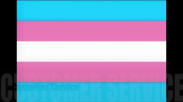 A Beginner's Guide to Trans 101 – Screenshot 4