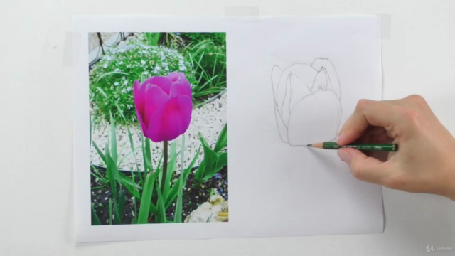 Zeichenkurs Blumen zeichnen lernen mit Bleistift – Screenshot 1