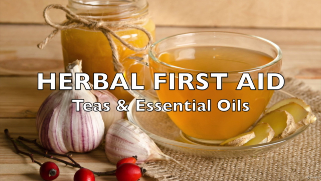Herbalism :: Essential Herbal Medicine Favorites - Screenshot_03