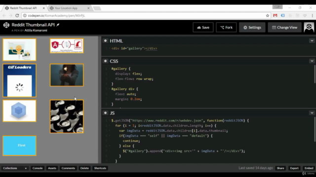 Projects with JSON and APIs – Screenshot 1