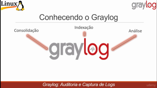 Gerenciando logs com Graylog – Screenshot 2
