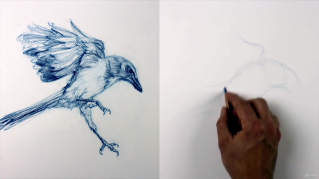 The Art & Science of Drawing / BASIC SKILLS – Screenshot 1