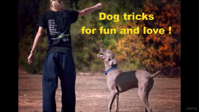 Dog Tricks for Fun and Obedience – Screenshot 1