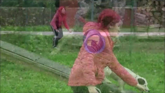 Dog Tricks for Fun and Obedience – Screenshot 4