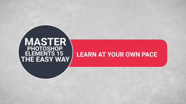 Master Adobe Photoshop Elements 15 the Easy Way – Screenshot 2
