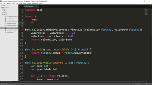 Linguagem Go para iniciantes – Screenshot 2