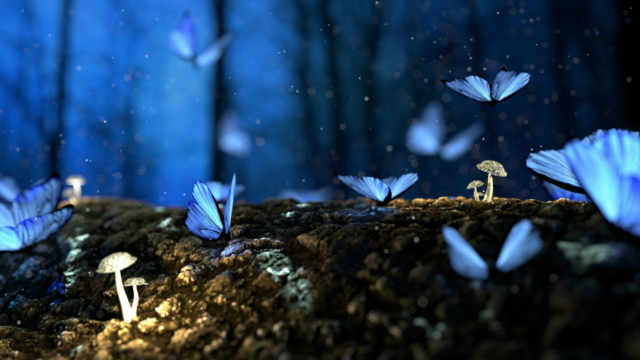Uncover and Discover Reiki, a natural approach to vitality. – Screenshot 2