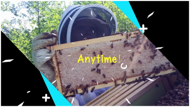 Beekeeping for Beginners: How to Be a Successful Beekeeper! – Screenshot 1
