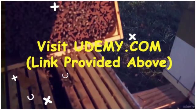 Beekeeping for Beginners: How to Be a Successful Beekeeper! – Screenshot 3