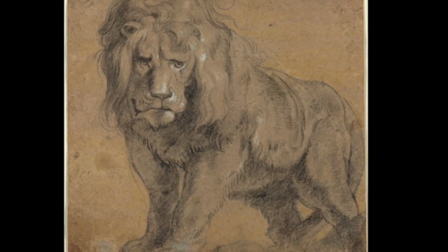 The Art & Science of Drawing / DYNAMIC MARK MAKING – Screenshot 2