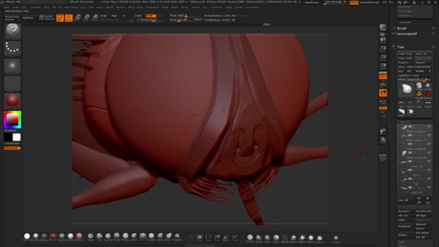 ZBrush Online Course Sculpting and Modelling "The Fly" – Screenshot 2