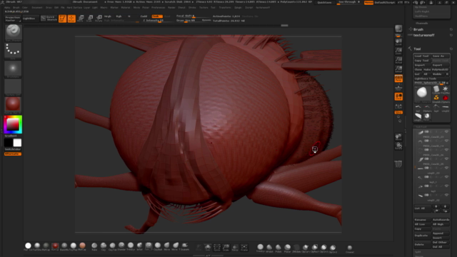 ZBrush Online Course Sculpting and Modelling "The Fly" – Screenshot 3