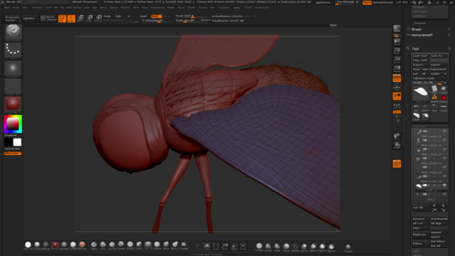 ZBrush Online Course Sculpting and Modelling "The Fly" – Screenshot 4