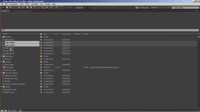 After Effects: Create Publishable Motion Graphic Templates – Screenshot 4