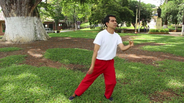 Las Bases del Chi kung (Qi gong) – Screenshot 1