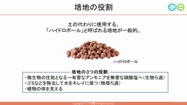 さかなで野菜を育てる！未経験からのアクアポニックス入門講座 – Screenshot 3