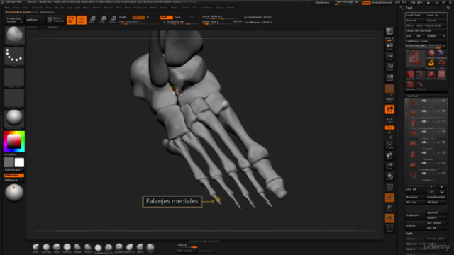 Master 3D, de Cero a Héroe Vol.6: Anatomía de Manos y Pies – Screenshot 1
