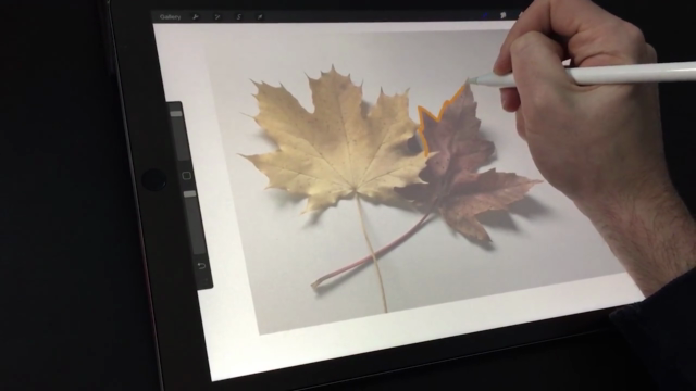 Drawing and Painting on the iPad with Procreate – Screenshot 2