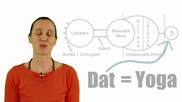 Yoga Meditatie voor Zelfrealisatie – Screenshot 1