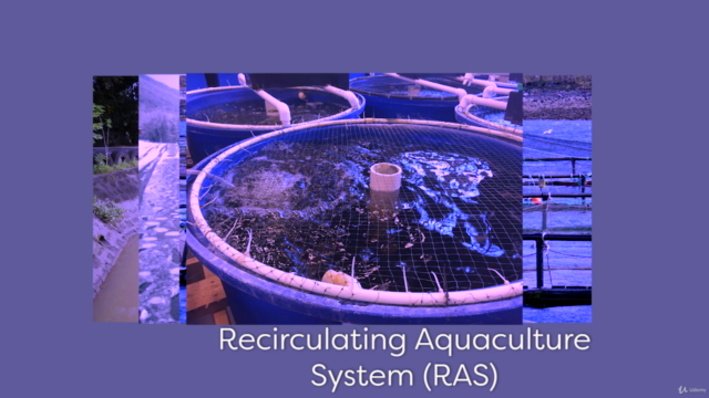 Becoming Aquaculture Expert (Part 1) – Screenshot 3