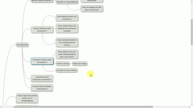 Créer un E-commerce qui CARTONNE en Dropshipping (formation) – Screenshot 2