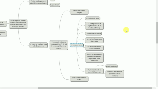 Créer un E-commerce qui CARTONNE en Dropshipping (formation) – Screenshot 4