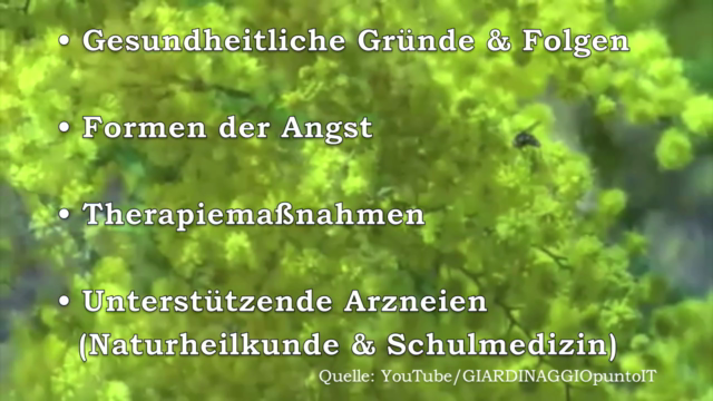 Ängstlichen Katzen helfen – Screenshot 4