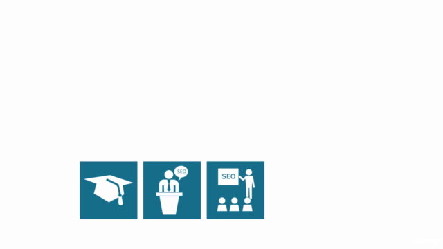 Professionelle SEO Analyse durchführen – Screenshot 1