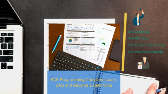 Curso de SAS: Aprenda SAS e Torne-se um Ninja dos Dados – Screenshot 1