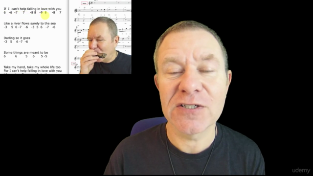 Instant Harmonica - play 'Can't Help Falling in Love' now! – Screenshot 2