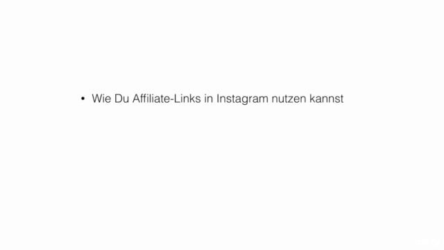 Influencer-Marketing auf Instagram – Screenshot 3