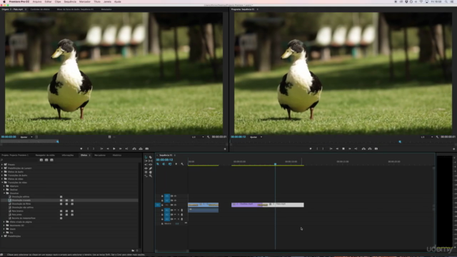 Adobe Premiere Pro CC em 90 Minutos – Screenshot 1