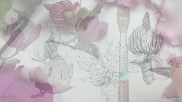 Paint Realistic Watercolour and Botanicals - MAGNOLIAS - Screenshot_02