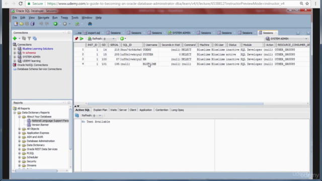 Become an Oracle Database Administrator (DBA) – Screenshot 3