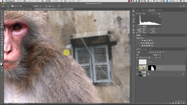 サンペー先生の『Photoshop切り抜き講座 簡単!誰でもできる美しい画像合成テクニック』 – Screenshot 3