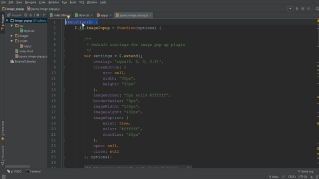 Build a Complete JQuery Plugin – Screenshot 2