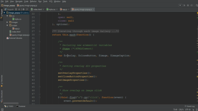 Build a Complete JQuery Plugin – Screenshot 3