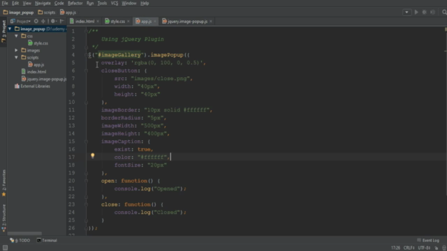 Build a Complete JQuery Plugin – Screenshot 4