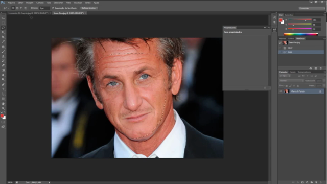 Adobe Photoshop CS6 para Iniciantes – Screenshot 1