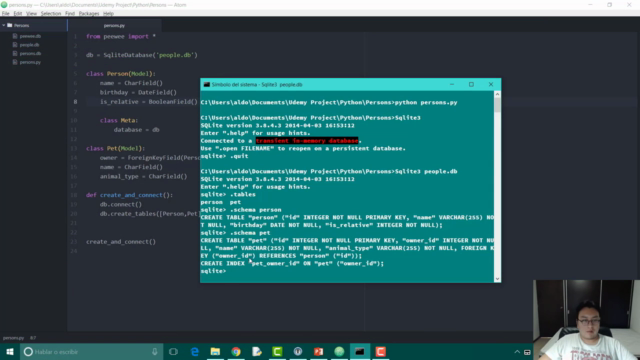 Curso Completo Python 3 - Desde las Bases hasta Django – Screenshot 4