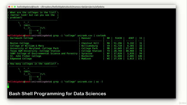 Bash Shell Programming for Data Sciences: Animated Course – Screenshot 2