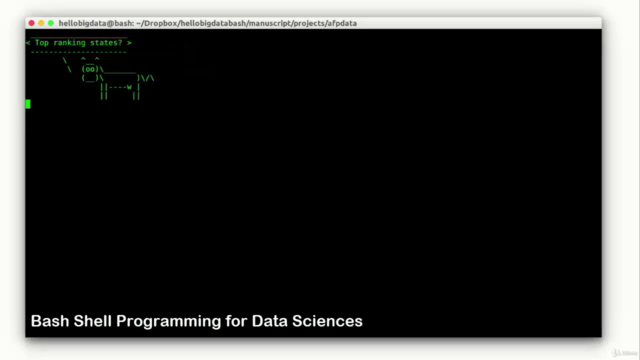 Bash Shell Programming for Data Sciences: Animated Course – Screenshot 3